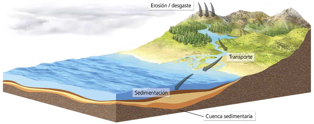 Velocidad de sedimentación globular alta que significa