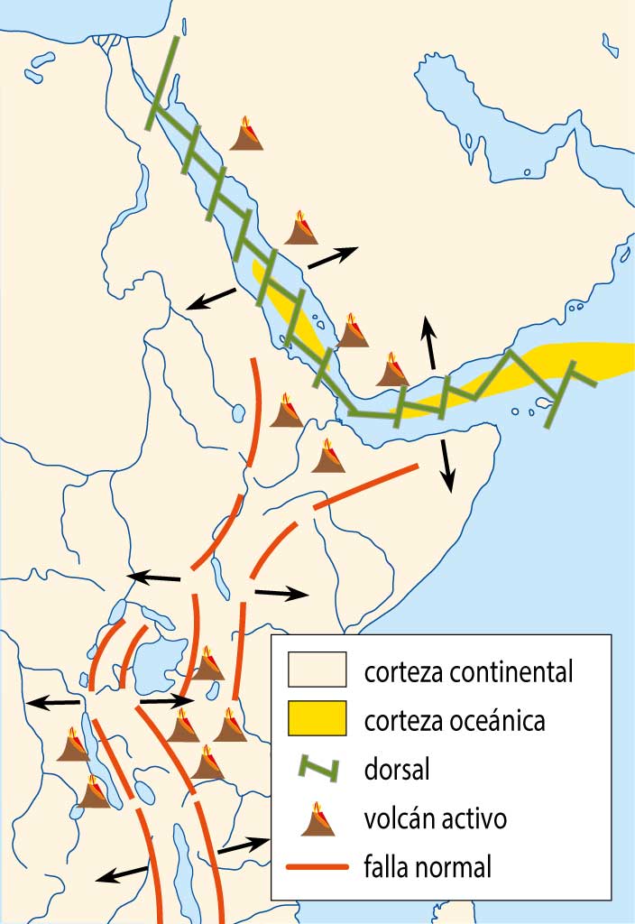 dorsal oceánica y valle del rift