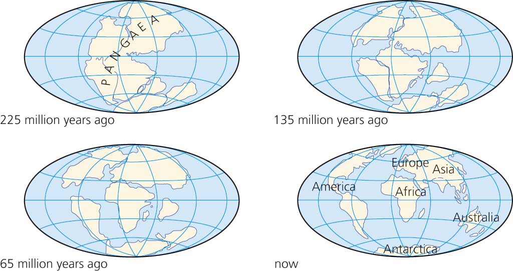 Заполни схему материки. Теория дрейфа континентов Вегенера.
