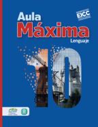 Book cover Aula Máxima 10