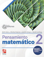 Book cover Pensamiento matemático 2