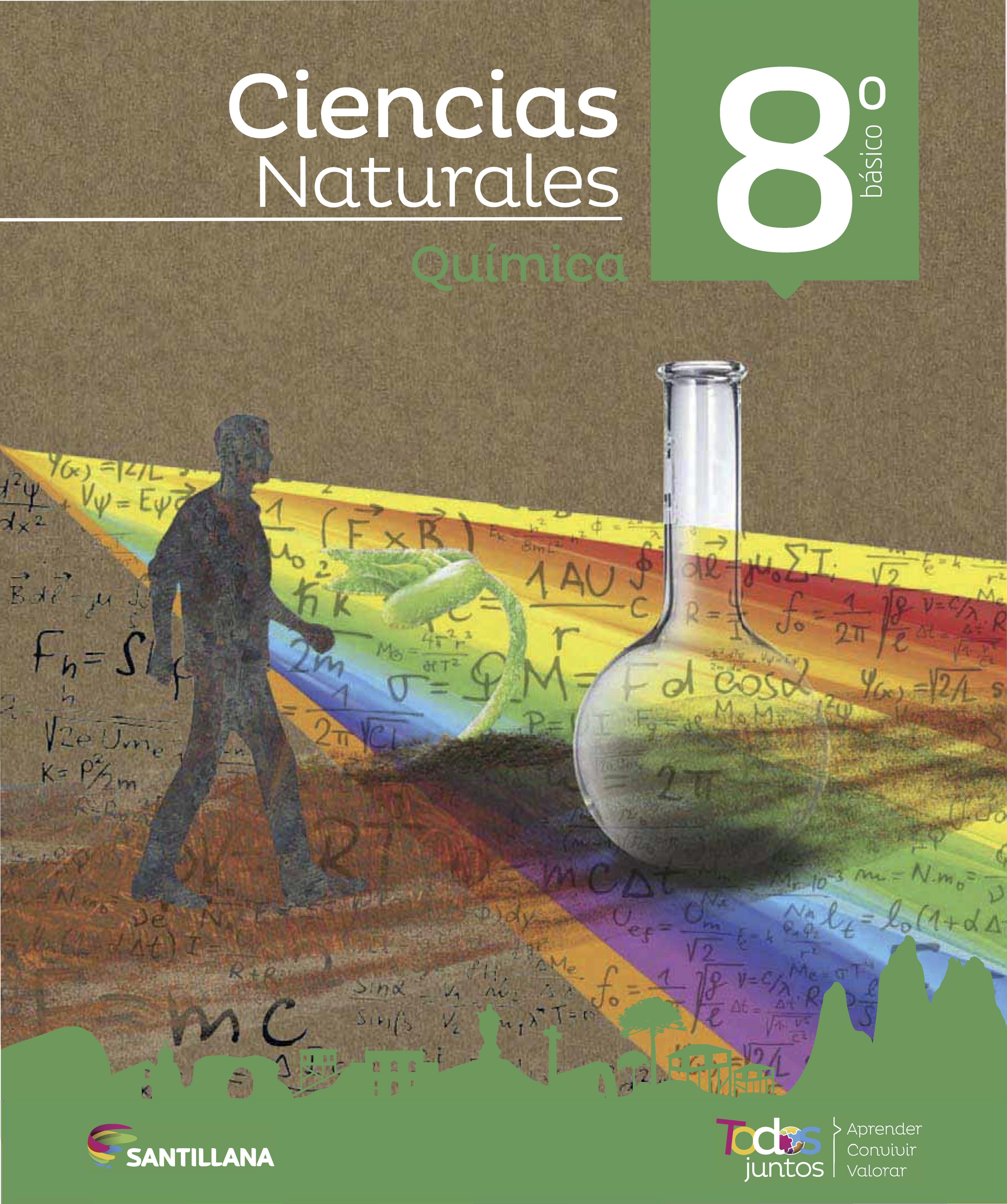 Ciencias Naturales 8 Química