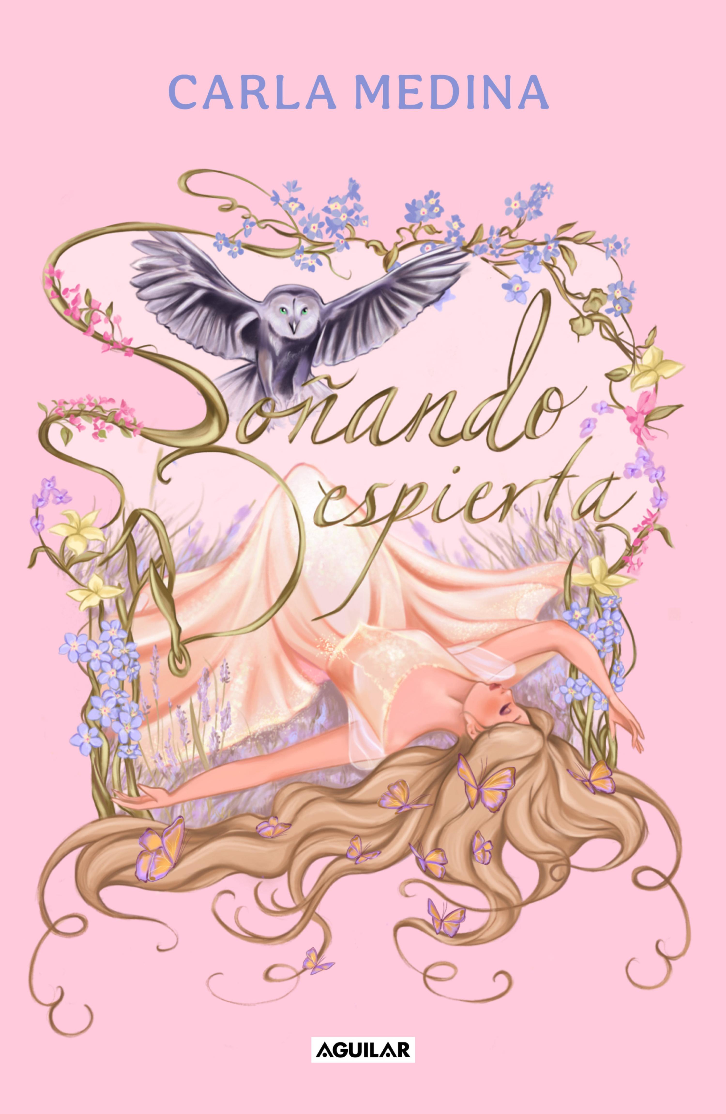 Book cover Soñando despierta