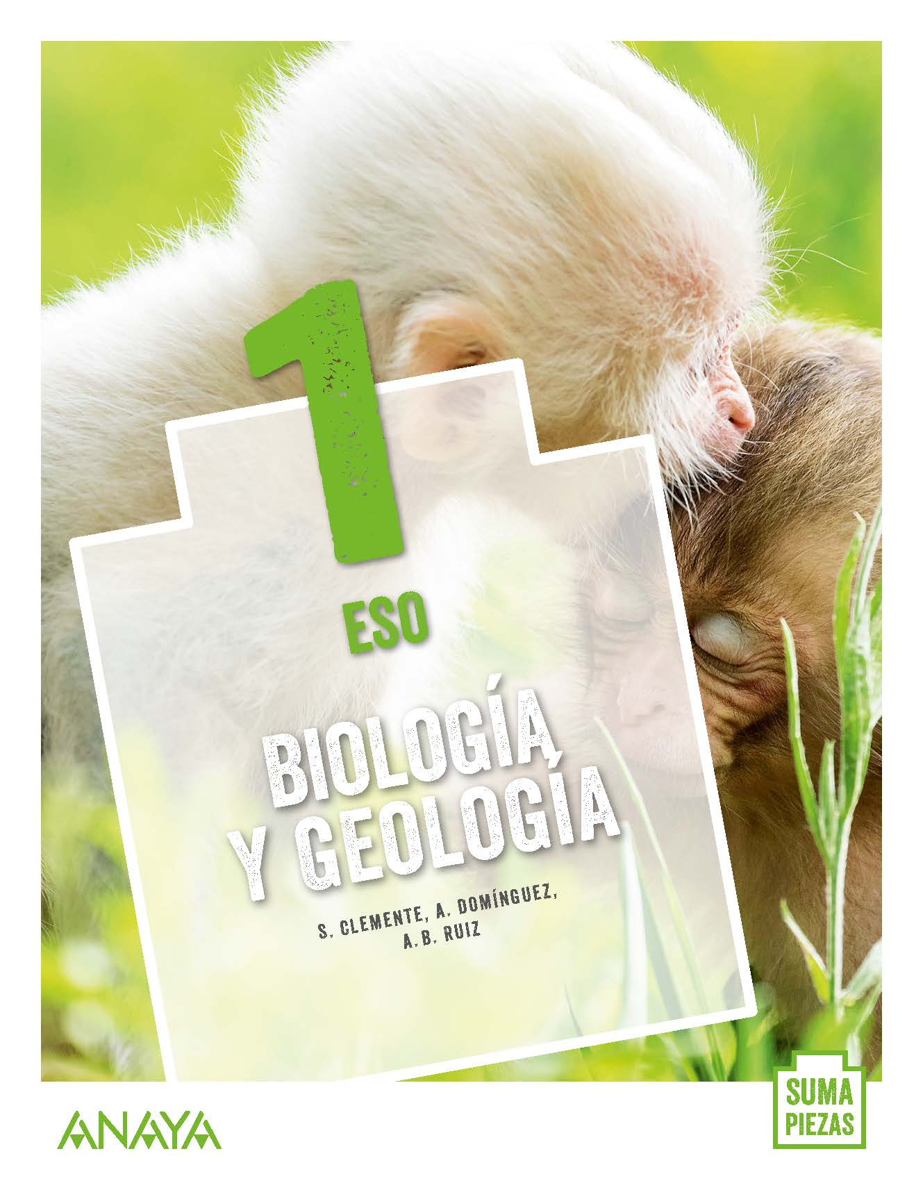 Portada del Libro Biología y Geología 1. ESO. Anaya + Digital. (Colegios Bilingües)