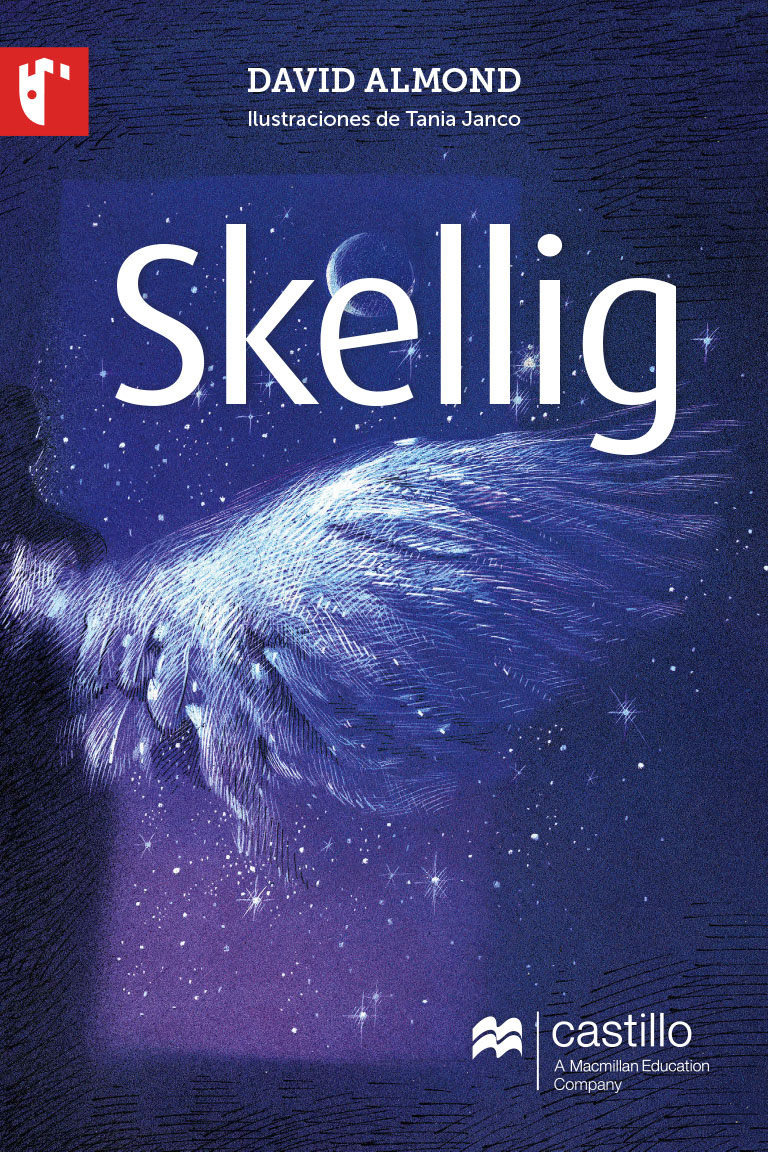 Book cover Skellig