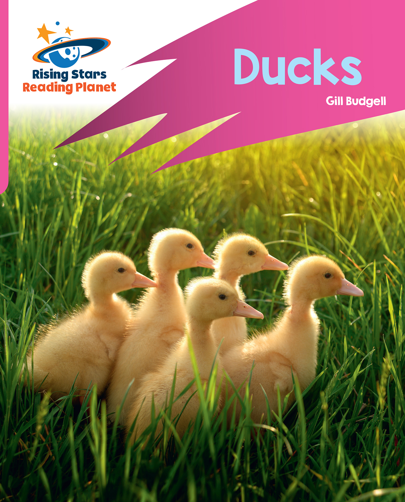 Book cover Ducks