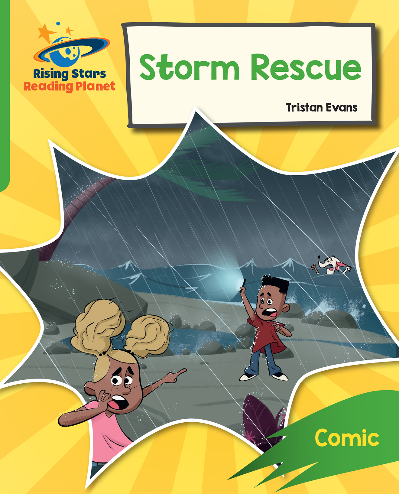 Book cover Storm rescue