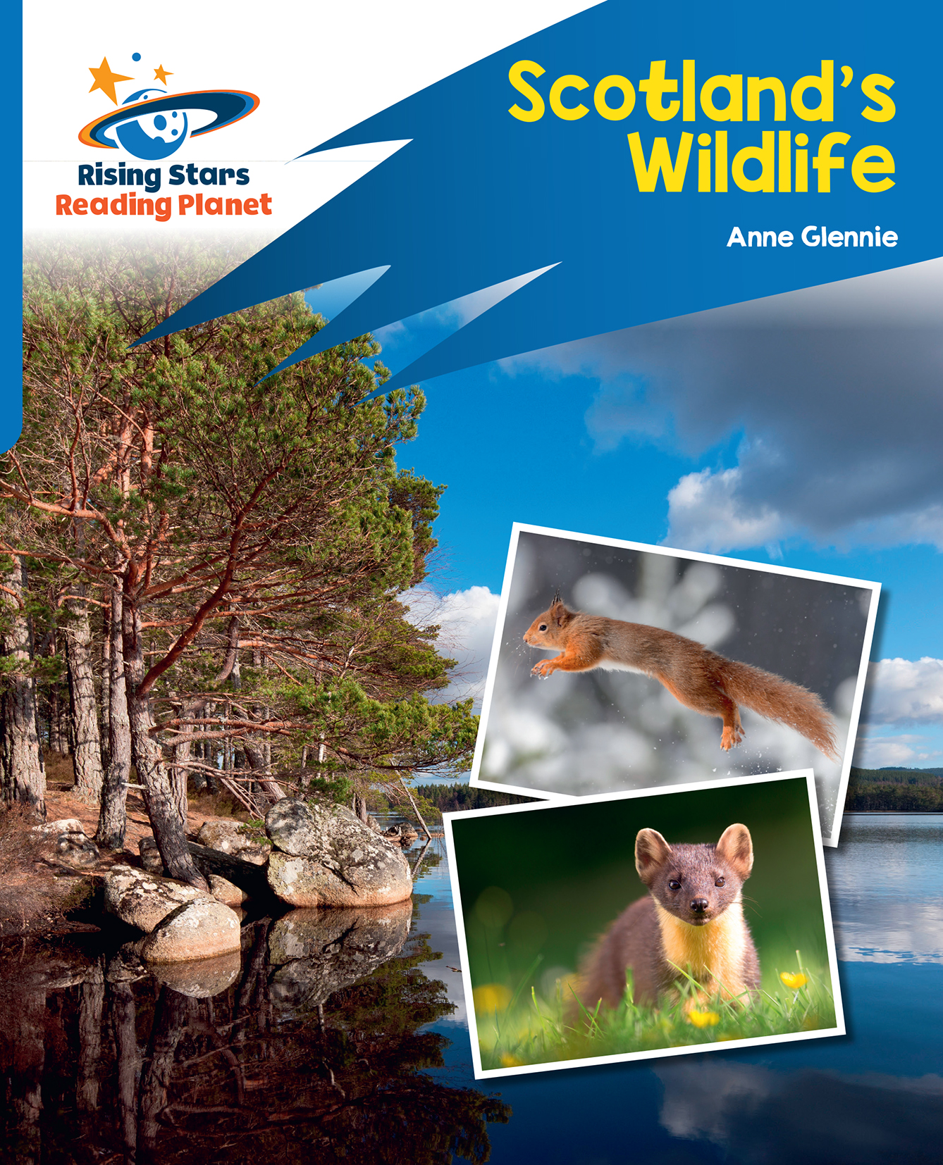 Book cover Scotland's wildlife