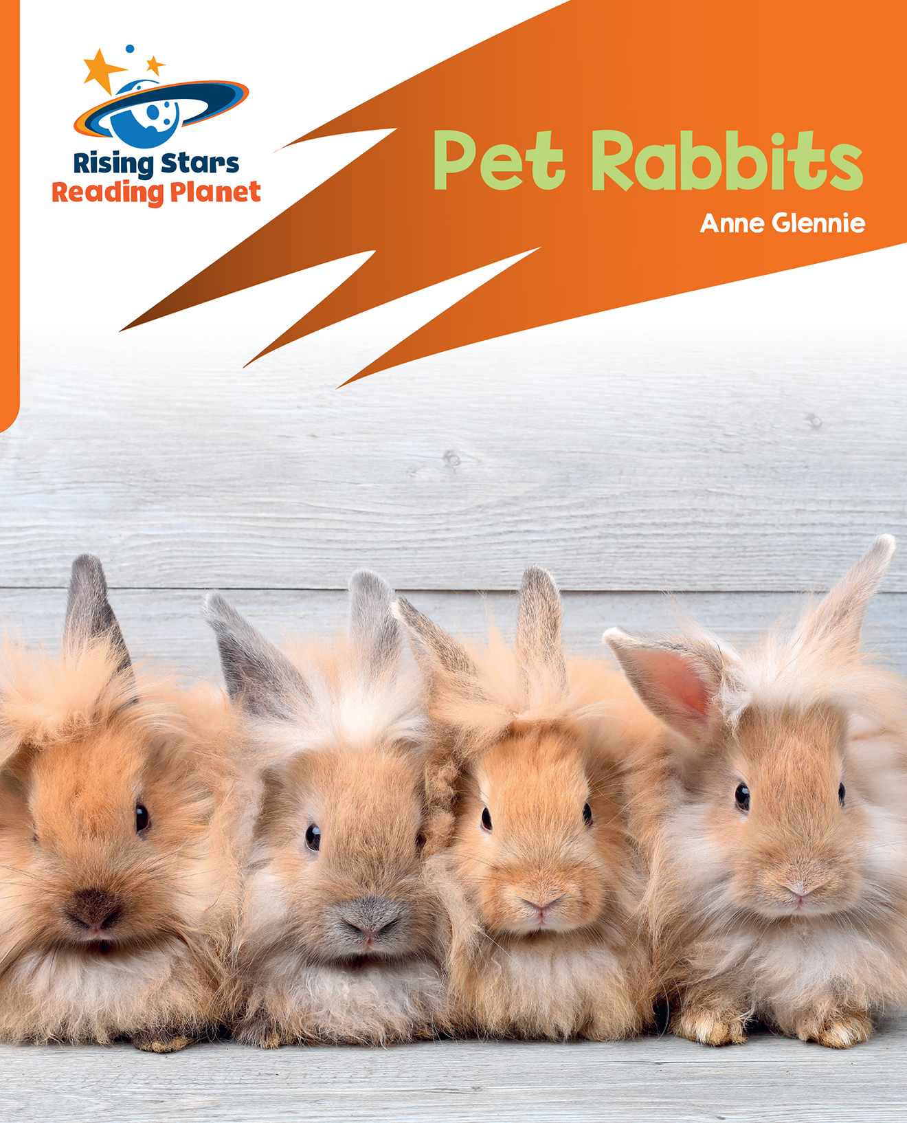 Book cover Pet rabbits