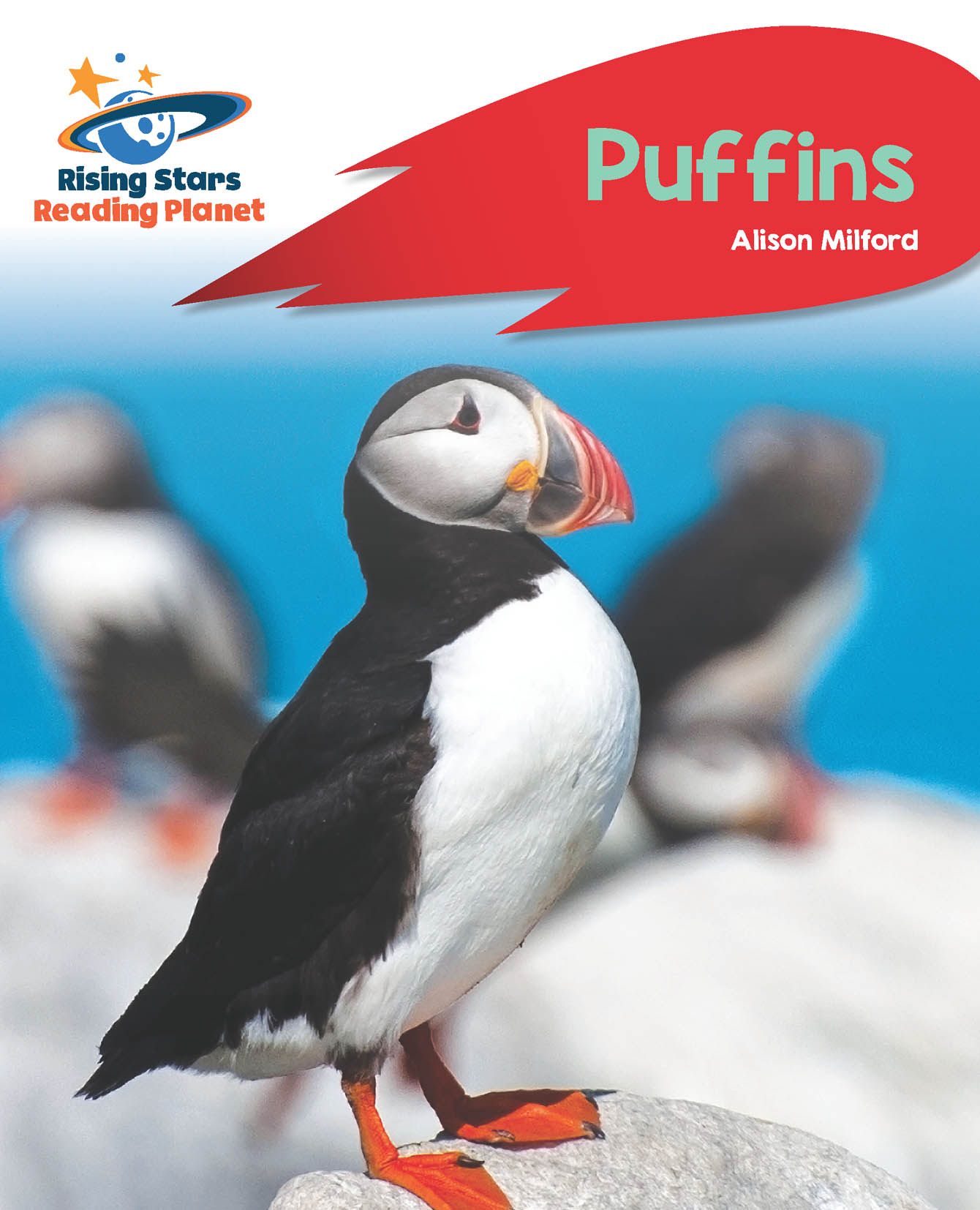 Book cover Puffins