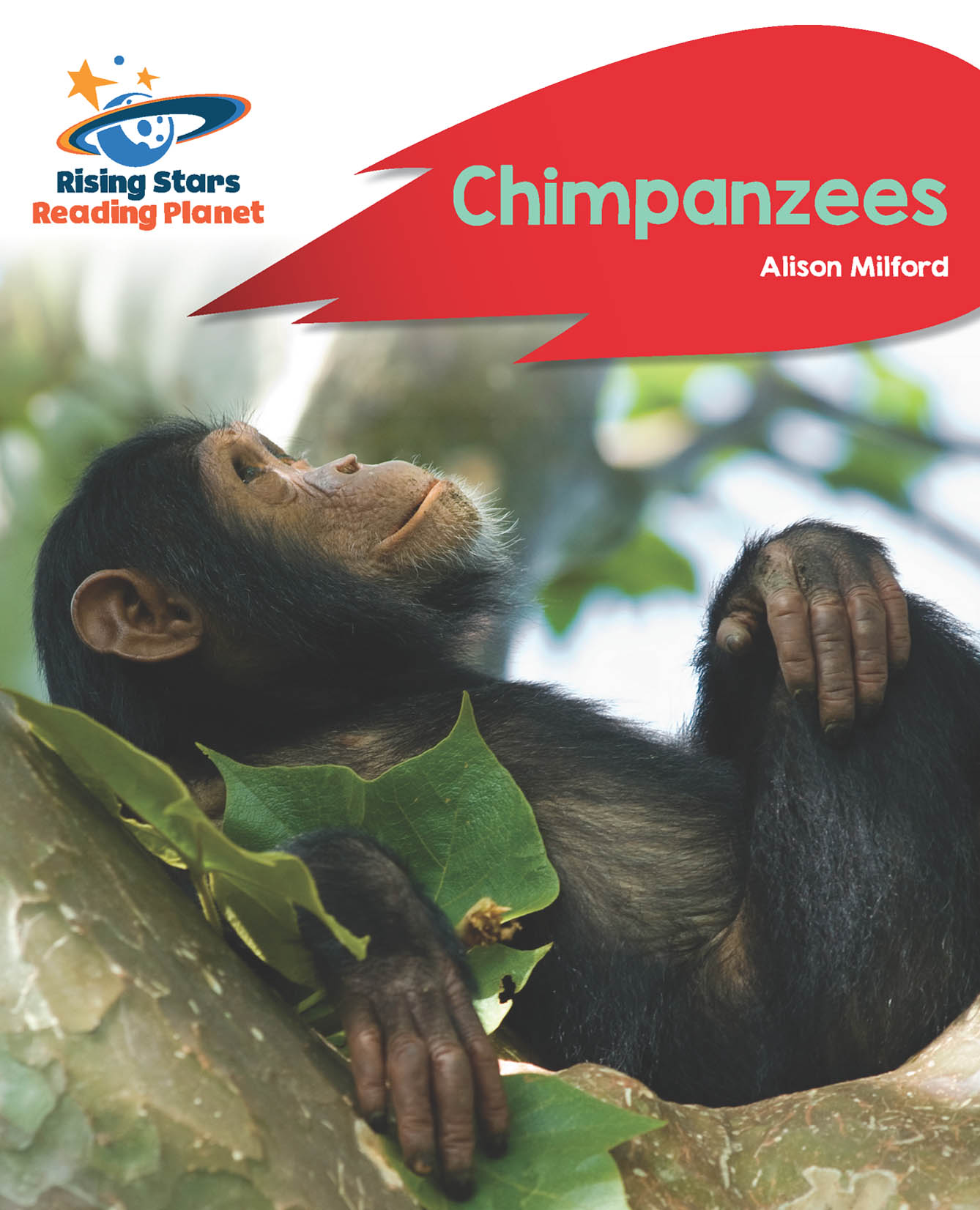 Book cover Chimpanzees