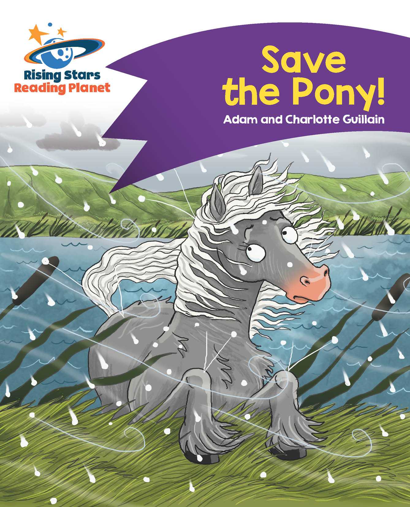 Book cover Save the pony!