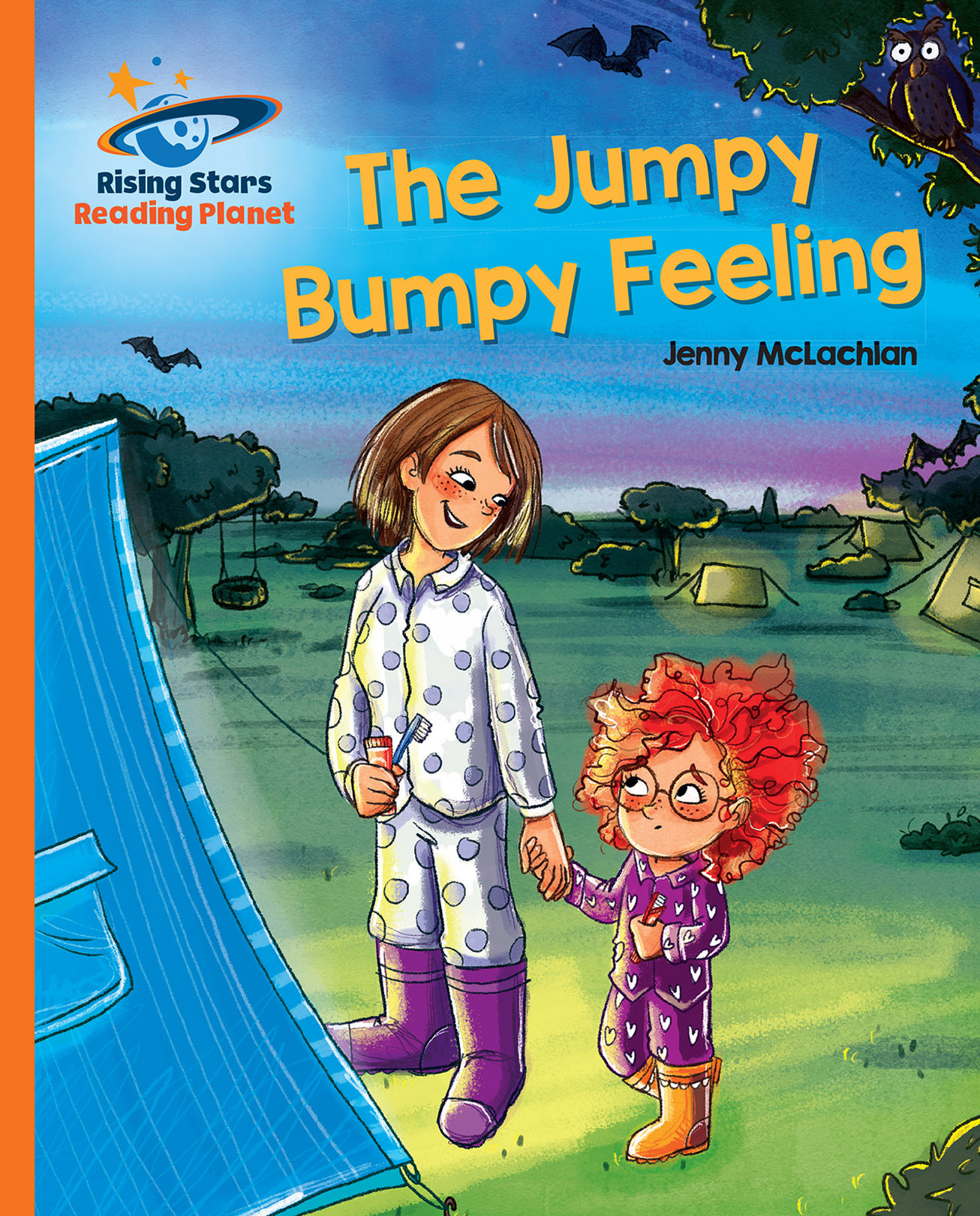 Book cover The jumpy bumpy feeling