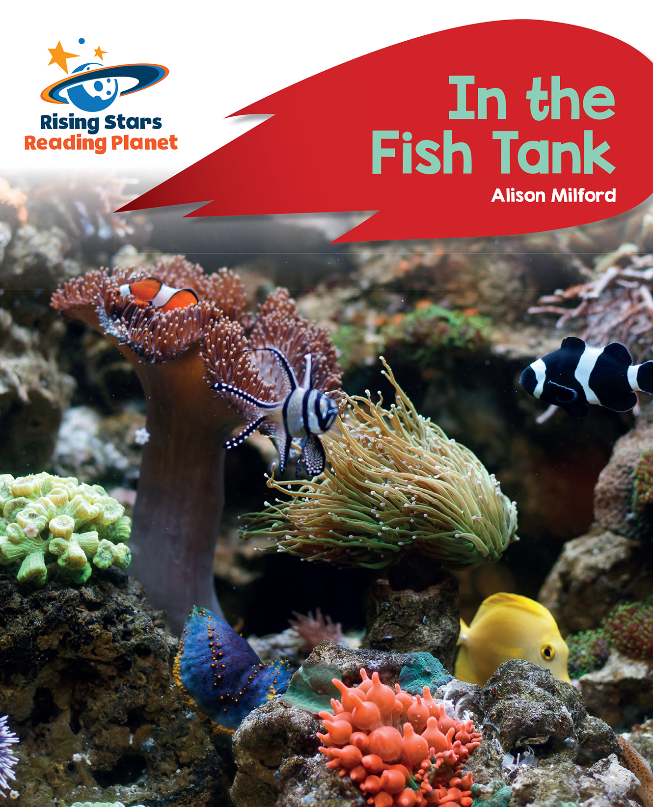 Book cover In the fish tank