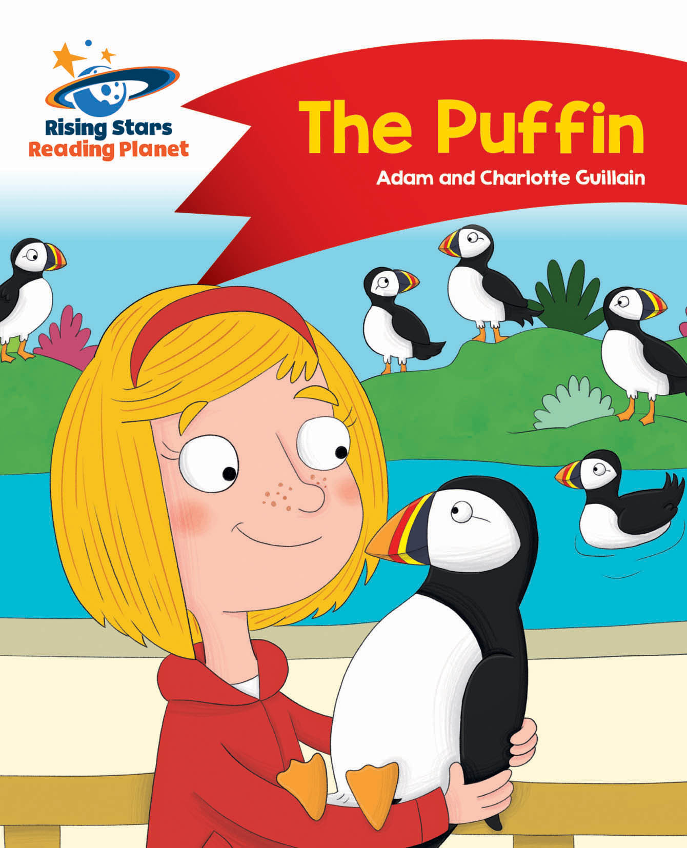 Book cover The puffin