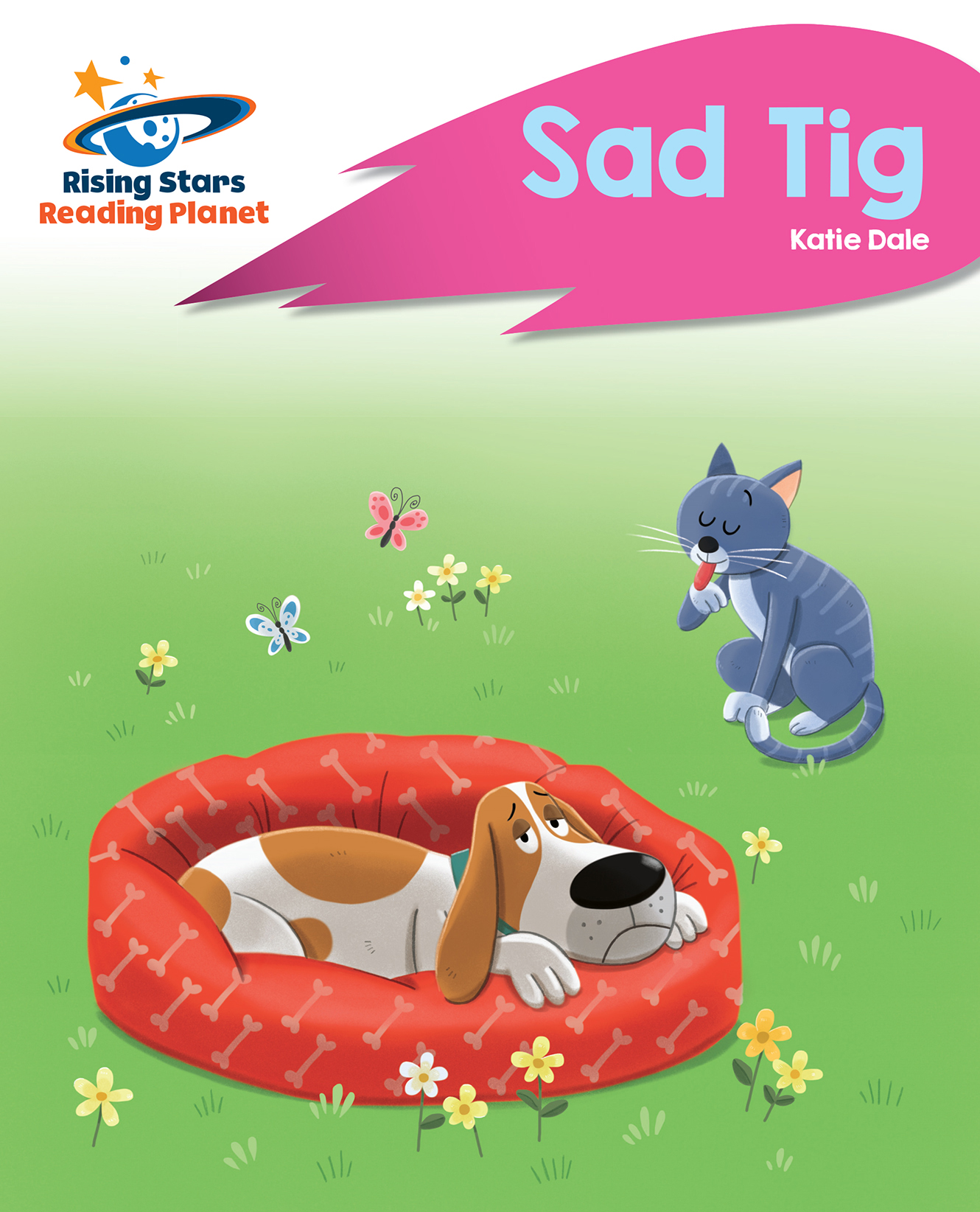 Book cover Sad Tig