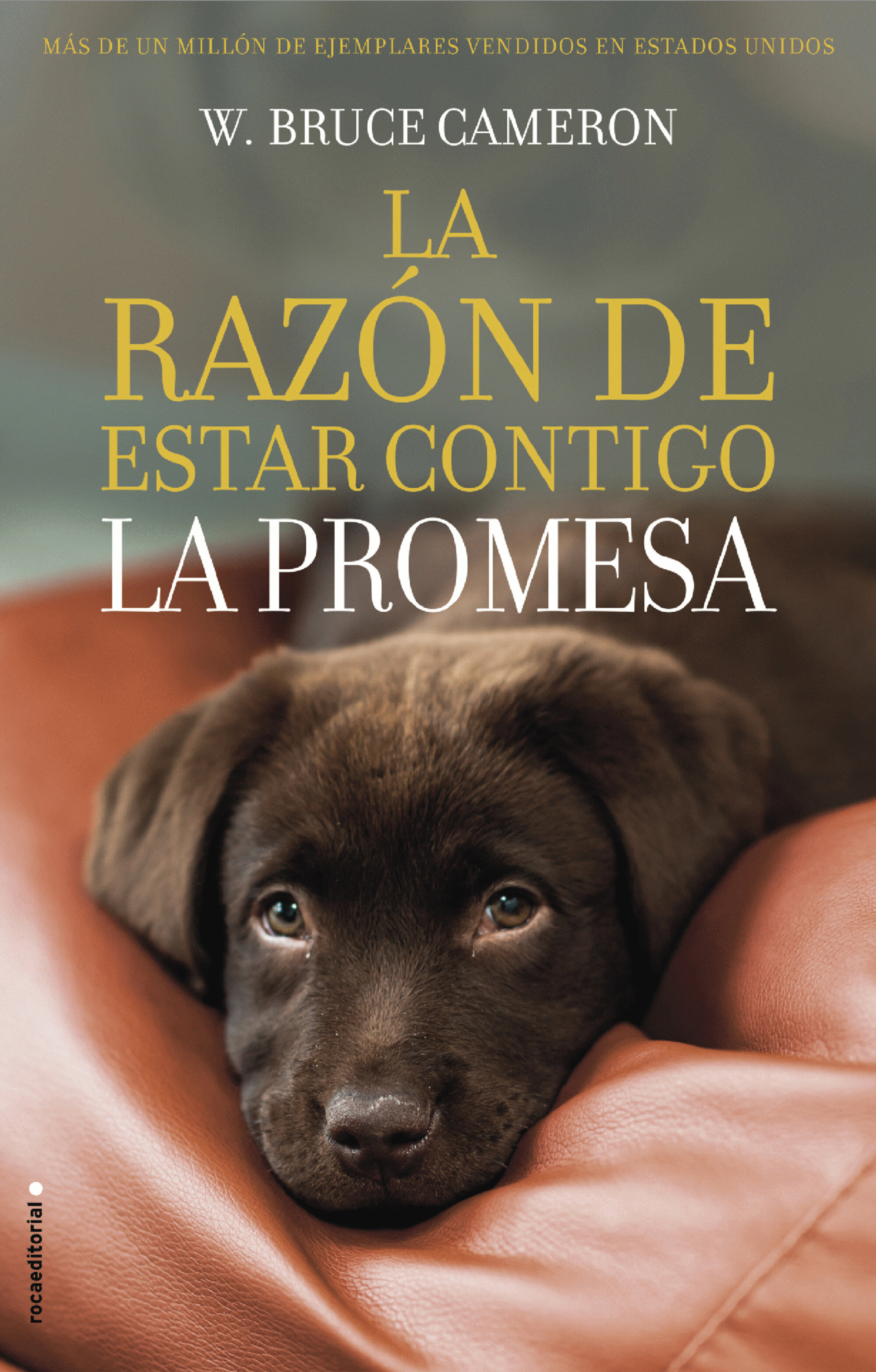 Book cover La razón de estar contigo 3 - La promesa