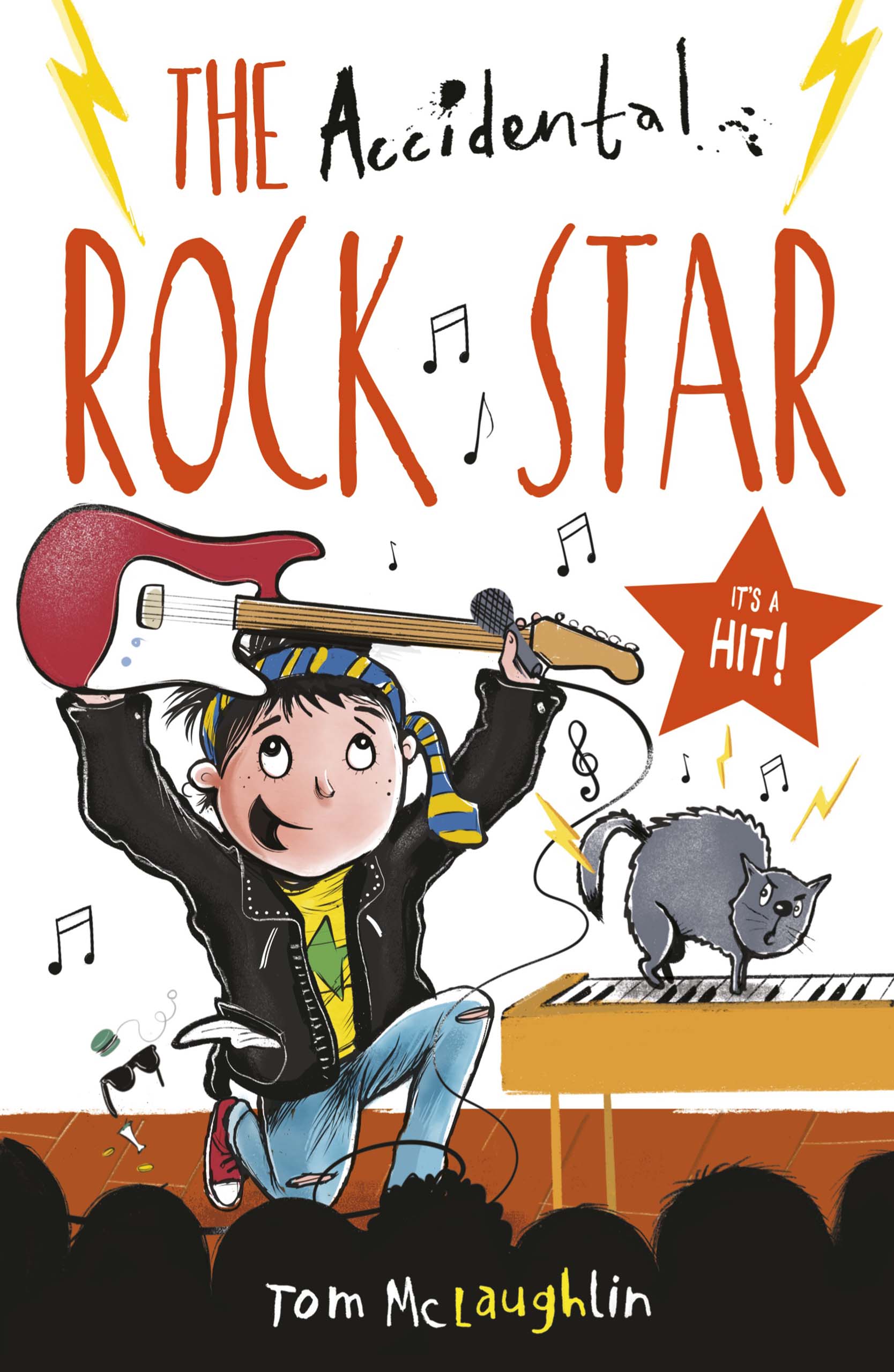Book cover The Accidental Rock Star