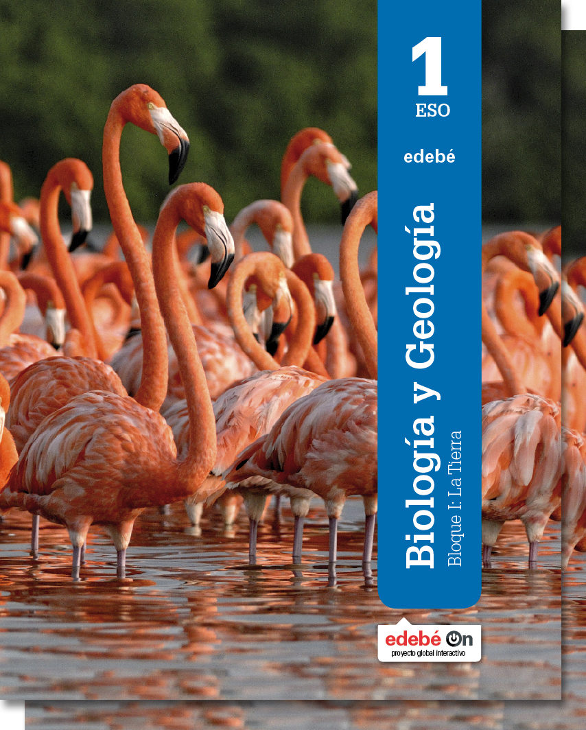 Book cover Biología y Geología  1 ESO (SCORM)